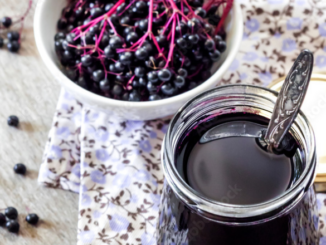 elderberry